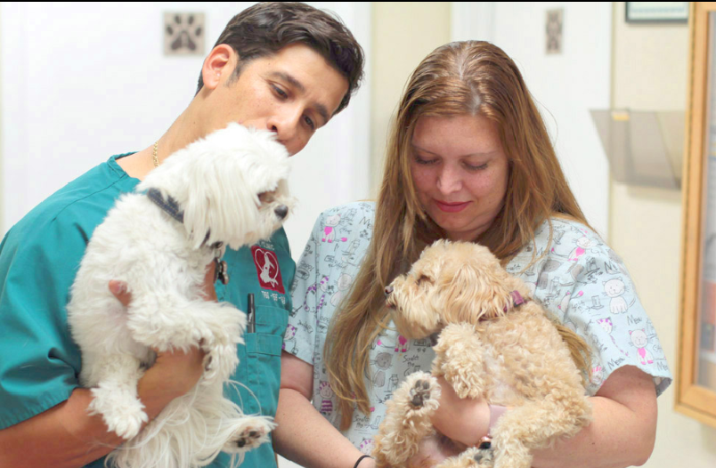 Who we are - Tamiami Animal Clinic
